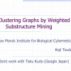 Clustering graphs by weighted substructure mining