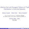 Collective Sort and Emergent Patterns of Tuple Distribution in Grid-Like Networks