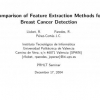 Comparison of Feature Extraction Methods for Breast Cancer Detection