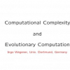 Computational complexity and evolutionary computation
