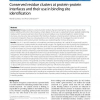 Conserved residue clusters at protein-protein interfaces and their use in binding site identification