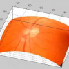 Constrained Optimization for Retinal Curvature Estimation Using an Affine Camera