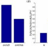 Creating Invariance to "Nuisance Parameters" in Face Recognition