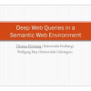 Deep Web Queries in a Semantic Web Environment