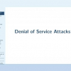 Denial-of-Service Attacks