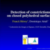 Detection of constrictions on closed polyhedral surfaces