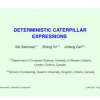 Deterministic Caterpillar Expressions