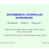 Deterministic Caterpillar Expressions