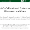 Direct Co-calibration of Endobronchial Ultrasound and Video