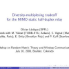 Diversity-Multiplexing Tradeoff for the MIMO Static Half-Duplex Relay