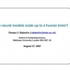 Do Neural Models Scale up to a Human Brain?