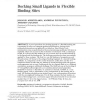 Docking small ligands in flexible binding sites