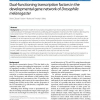 Dual-functioning transcription factors in the developmental gene network of Drosophila melanogaster