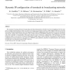 Dynamic IP configuration of terminals in broadcasting networks