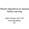 Efficient Algorithms for General Active Learning