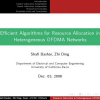 Efficient Algorithms for Resource Allocation in Heterogeneous OFDMA Networks