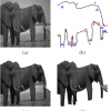 Fast Normalized Cut with Linear Constraints