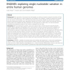 ENGINES: exploring single nucleotide variation in entire human genomes