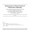 Enhancement of visual contrast in fluorescence endoscopy