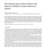 Evolutionary fuzzy cluster analysis with Bayesian validation of gene expression profiles