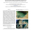 Exploring the Potential of MODIS Visible and Thermal Channels in Monitoring and Assessing the Impact of Desalination Plant Disch