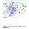 Extending pathways and processes using molecular interaction networks to analyse cancer genome data