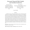Extremal financial risk models and portfolio evaluation