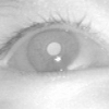 Eye Gaze Tracking under Natural Head Movements