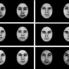 Face Reconstruction from a Small Number of Feature Points