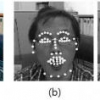 Facial expression analysis with facial expression deformation