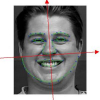 Facial Expression Biometrics Using Tracker Displacement Features