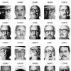Facial similarity across age disguise illumination and pose