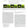 Fast Visualization by Shear-Warp on Quadratic Super-Spline Models Using Wavelet Data Decompositions