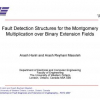 Fault Detection Structures for the Montgomery Multiplication over Binary Extension Fields