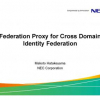 Federation proxy for cross domain identity federation
