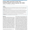 Finding sRNA generative locales from high-throughput sequencing data with NiBLS