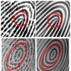 Curvature and Singularity Driven Diffusion for Oriented Pattern Enhancement with Singular Points