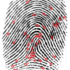 Fingerprint indexing based on composite set of reduced SIFT features