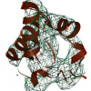 Flexible image registration for the identification of best fitted protein models in 3D-EM maps