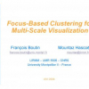 Focus-Based Clustering for Multi-Scale Visualization