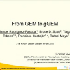 From GEM to gGEM