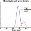 Fuzzy Border Distance Transforms and Their Use in 2D Skeletonization