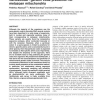 GenDecoder: genetic code prediction for metazoan mitochondria