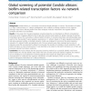 Global screening of potential Candida albicans biofilm-related transcription factors via network comparison