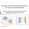 Grouping and dimensionality reduction by locally linear embedding