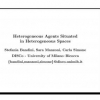 Heterogeneous Agents Situated in Heterogeneous Spaces