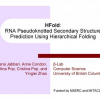 HFold: RNA Pseudoknotted Secondary Structure Prediction Using Hierarchical Folding
