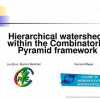 Hierarchical Watersheds Within the Combinatorial Pyramid Framework