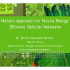Holistic Approach for Future Energy Efficient Cellular Networks