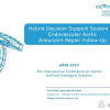 Hybrid Decision Support System for Endovascular Aortic Aneurysm Repair Follow-Up